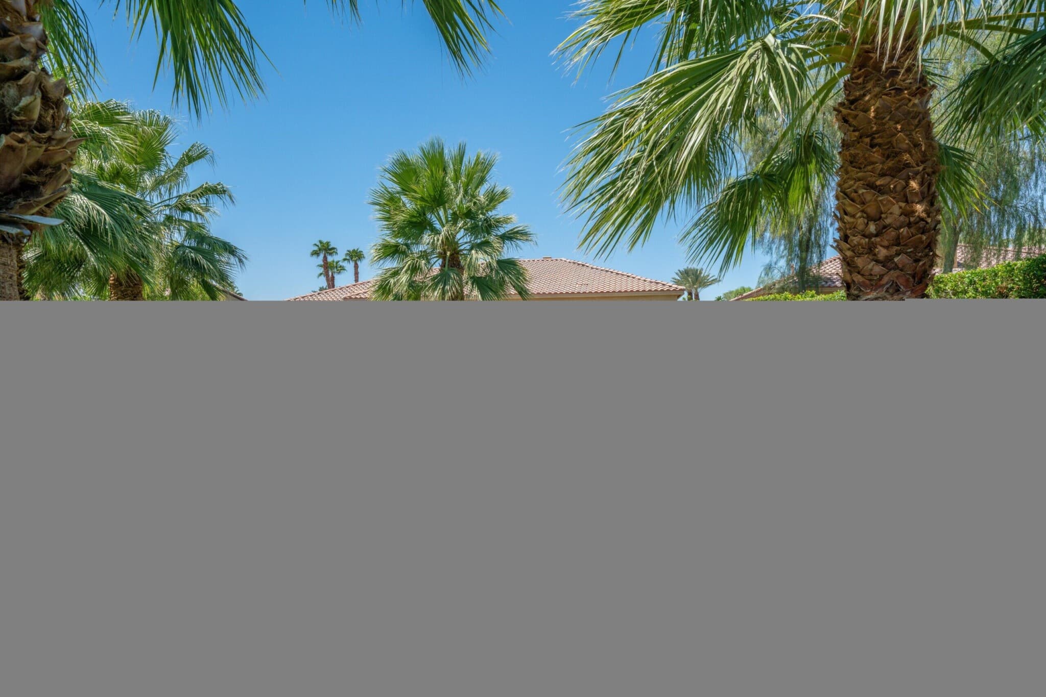 esc ed874289a6 8067290624.jpg